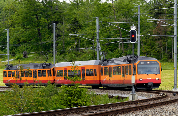 Ein Zug auf Schienen mit Strommasten und Kabeln, umgeben von Bäumen, Blumen, Pflanzen und Gras.
