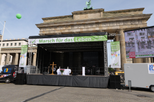 Die Magie des Milchholzes