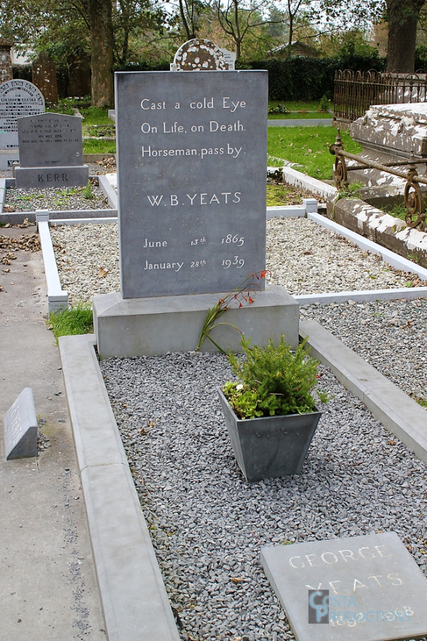 Ein Friedhof mit Pflanzen und Bäumen im Hintergrund.
