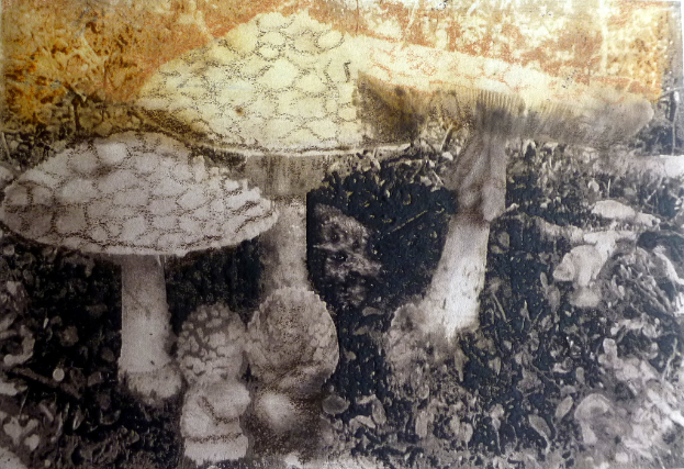 Pilze stehen im Vordergrund eines bearbeiteten Bildes.