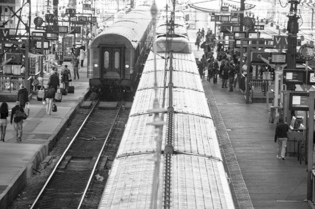 Volles Bahnsteig mit mehreren Zügen auf den Gleisen und vielen Menschen auf dem Bahnsteig.