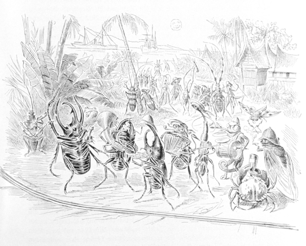 Eine Zeichnung von verschiedenen Insekten, die Musikinstrumente spielen, umgeben von Pflanzen und Bäumen, mit Schiffen im Hintergrund und einer Hütte auf der rechten Seite.