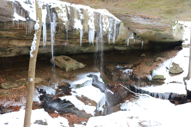 Ein kleiner Wasserfall ergießt sich eine felsige Klippe hinab in einem schneebedeckten Waldgebiet, mit Eiszapfen an den Felsen und Schnee auf den Bäumen und Gräsern.
