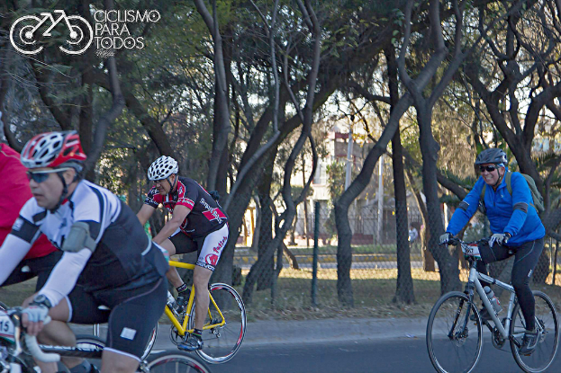 Personen auf Fahrrädern auf einer Straße mit Zäunen, Bäumen, Gebäuden und Pfählen an den Seiten und einem Himmel darüber.