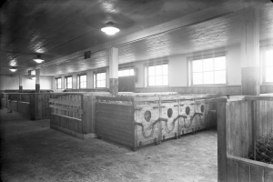 Ein Schwarz-Weiß- Foto eines Stallinneren mit Holzboxen, die mit Heu gefüllt sind, Fenstern, Deckenlampen und Säulen.