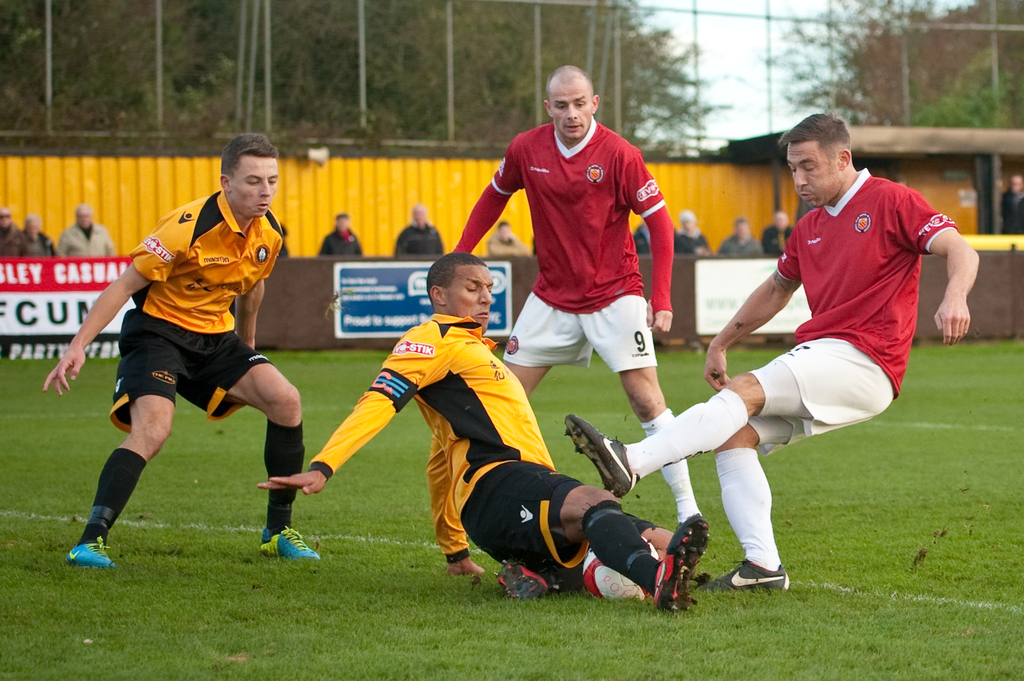 Spieler in blauen und roten Uniformen spielen ein Spiel auf einem Rasenfeld mit einem Ball, während Zuschauer außerhalb des Feldes jubeln, mit einem Baum und Himmel im Hintergrund.