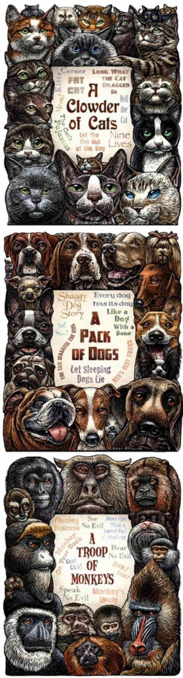 Ein bearbeitetes Bild, das die Gesichter verschiedener Tiere zeigt, jeweils aus Buchstaben auf Papier zusammengesetzt.