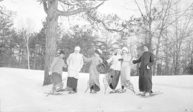 Sechs Frauen auf Snowboards, mit bewaldetem Hintergrund.