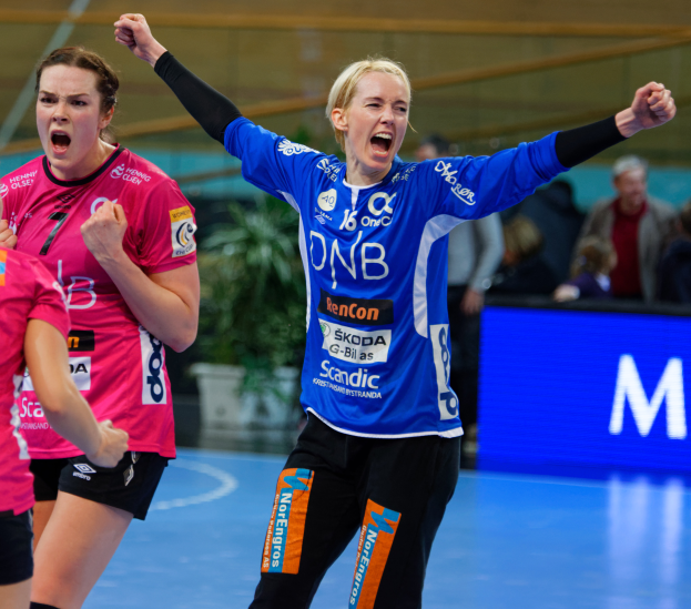 Eine Gruppe von Frauen, die auf einem Handballfeld spielen, mit einem Banner, einem Topf mit einer Pflanze und einigen Zuschauern im Hintergrund.