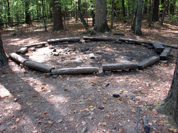 Ein Waldboden mit vielen umgestürzten Ästen und Bäumen im Hintergrund.