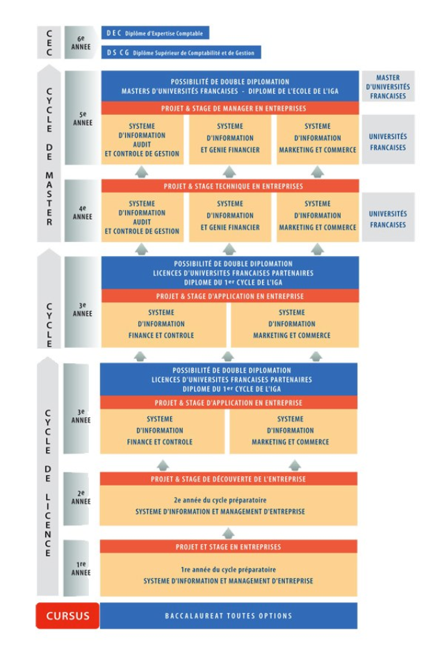 Diagramm, das die organisatorische Struktur eines Unternehmens darstellt, mit miteinander verbundenen Kästchen, die die Phasen des Geschäfts growths und der Entwicklung darstellen, begleitet von Text, der die Rollen und Verantwortlichkeiten beschreibt.