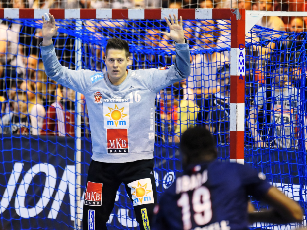 Handballspieler mit erhobenen Händen vor einem Tor, umgeben von Zuschauern, mit einem "Futsal-Weltmeisterschaft 2019"-Banner und Netz im Vordergrund.