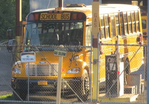 Mehrere Busse fahren auf einer Straße im Hintergrund, mit einem Zaun, Pfählen mit Schildern, einem Baum, Gras und der Straße selbst im Vordergrund.