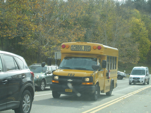 Ein gelber Schulbus, ein Van und ein Auto sind auf einer Straße mit Bäumen im Hintergrund.