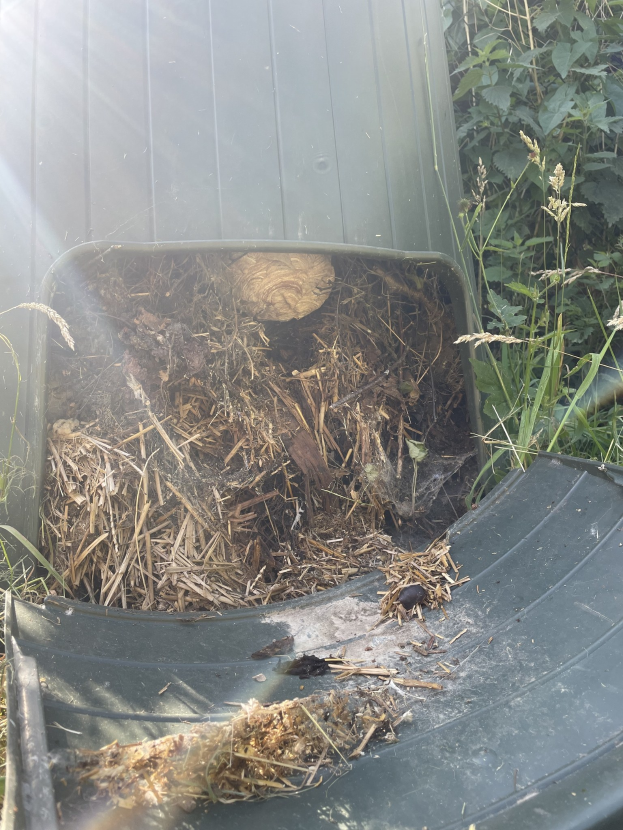 Ein Komposteimer voller Erde und Gras, umgeben von Pflanzen auf der rechten Seite.