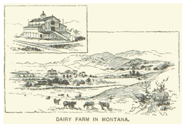 Eine Zeichnung einer Milchfarm in Montana, die ein zentrales Haus zeigt, umgeben von Tieren, Pflanzen und Hügeln, mit Text unten.