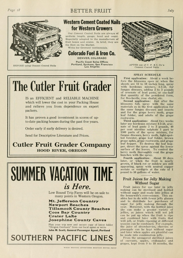 Ein Blatt Papier von der Cutler Fruit Grader Company mit bunten Illustrationen von verschiedenen Früchten wie Äpfeln, Orangen, Bananen und Trauben sowie fett gedrucktem Text über ihre Dienstleistungen, alles umgeben von einem hellgelben Rand.