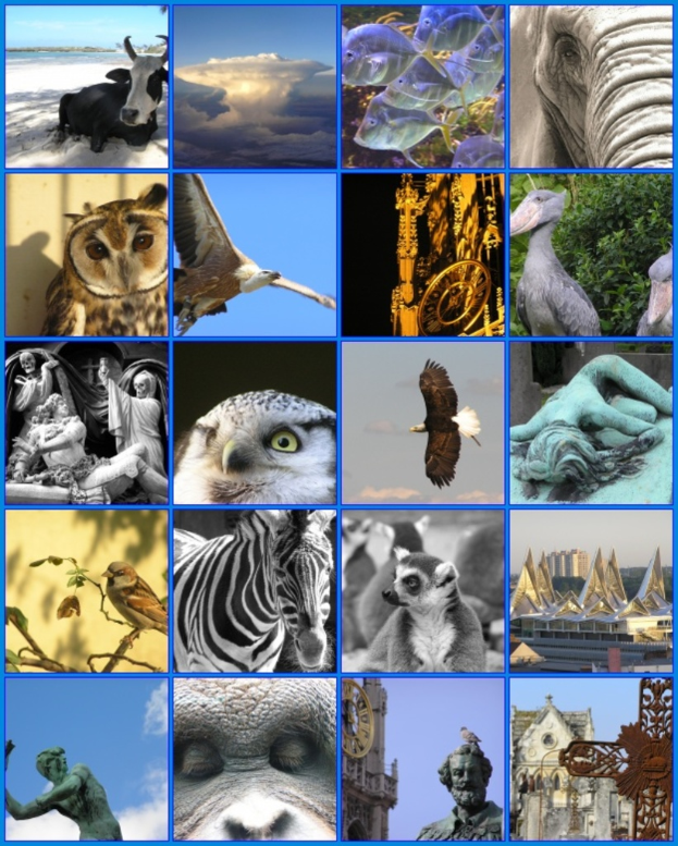 Ein Collage mit verschiedenen Tieren, darunter Kühe, ein Zebra und eine Eule, sowie mehrere Skulpturen.