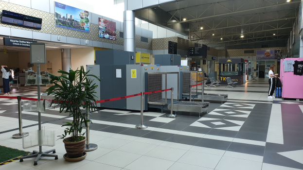 Leerer Flughafen-Terminal mit Check-in-Schaltern, Topfpflanzen, Absperrpoller mit Bändern, stehenden Menschen, Gepäckwagen, Stühlen, wandmontierten Informationsanzeigen und Deckenleuchten.